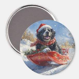 Neufundland Hund in Sledge Let it Snow Christmas Magnet