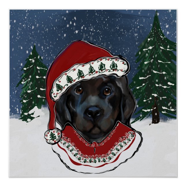 Neufundland-Hund Poster (Vorderseite)