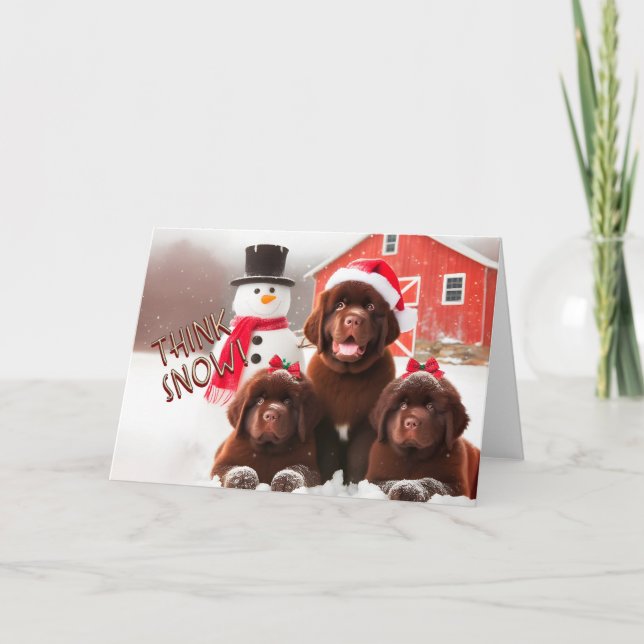 Neufundland Hunde Brown, Schnee Weihnachtskarte Feiertagskarte (Vorderseite)