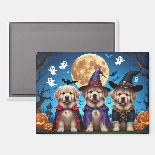 Neufundland Hunde Pumpkin Halloween Funny Magnet (Vorderseite/Rückseite)