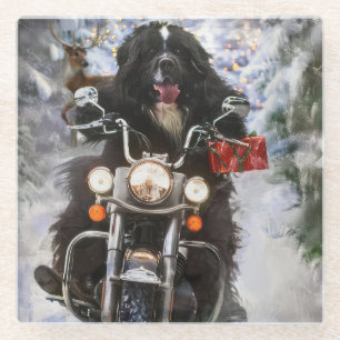 Neufundland Hunde reiten Motorrad Weihnachten Glasuntersetzer