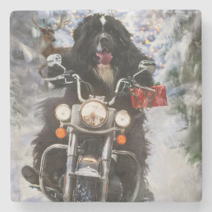 Neufundland Hunde reiten Motorrad Weihnachten Steinuntersetzer