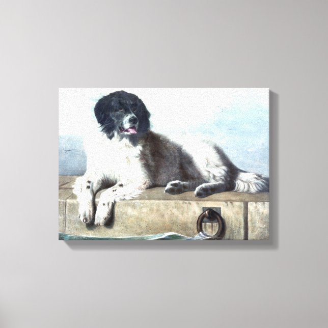 Neufundland Hunde Vintage Malerei Leinwanddruck (Vorderseite)