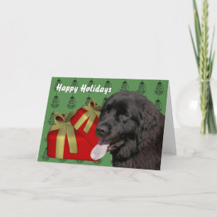 Neufundland Hundeweihnachtkarte Feiertagskarte