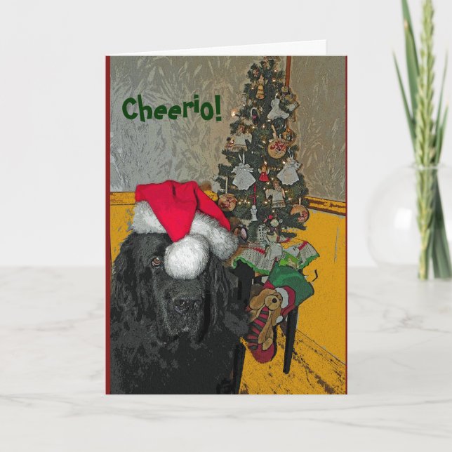 Neufundland Hundeweihnachtskarte Feiertagskarte (Vorderseite)