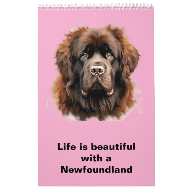 Neufundland-Kalender 2025 Kalender (Titelbild)