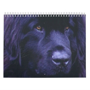 Neufundland-Kalender Kalender