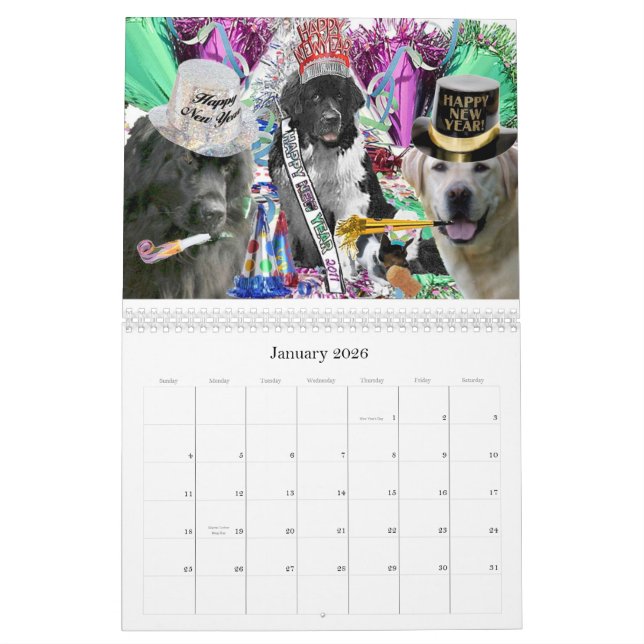 Neufundland-Kalender Kalender (Jan 2026)