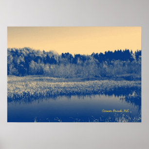Neufundland, Kanada, Marshlands, Bäume und Wasser Poster