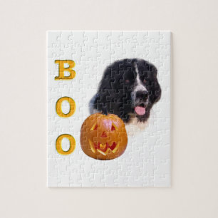Neufundland Landseer Halloween Boo