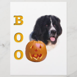Neufundland Landseer Halloween Boo
