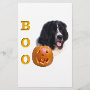 Neufundland Landseer Halloween Boo