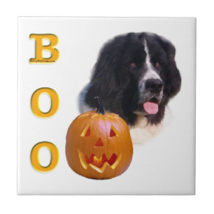 Neufundland Landseer Halloween Boo Fliese