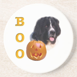 Neufundland Landseer Halloween Boo Getränkeuntersetzer