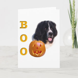 Neufundland Landseer Halloween Boo Karte