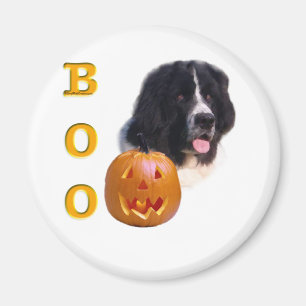 Neufundland Landseer Halloween Boo Magnet