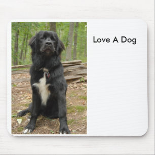 Neufundland, Liebe ein Hund Mousepad
