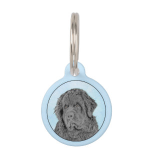 Neufundland Malerei - Niedliche Original Hunde Kun Haustiermarke