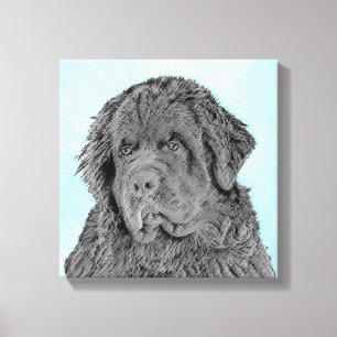 Neufundland Malerei - Niedliche Original Hunde Kun Leinwanddruck