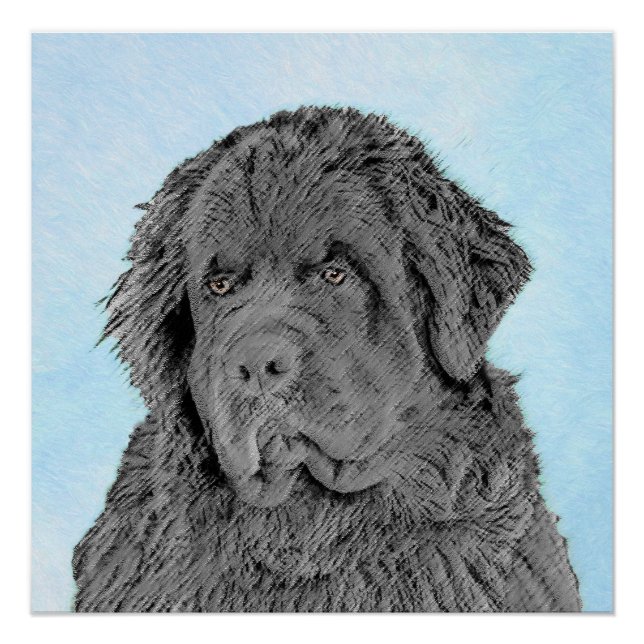 Neufundland Malerei - Niedliche Original Hunde Kun Poster (Vorderseite)