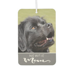 Neufundland-Mama einfügen Dog-Bild Autolufterfrischer