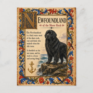 Neufundland, mittelalterliche Bestiarien-Kunst Postkarte
