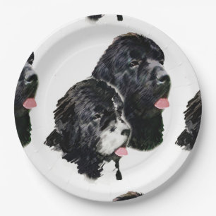 Neufundland painting.png pappteller