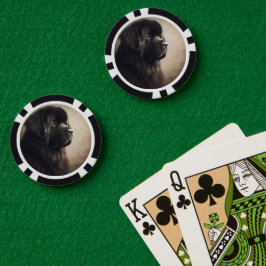 Neufundland Pokerchips