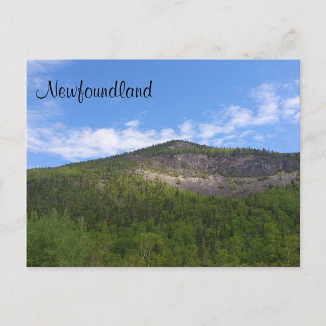 Neufundland Postkarte (Vorderseite)