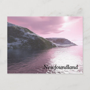 Neufundland Rosa Sonnenaufgang Postkarte von Tamar