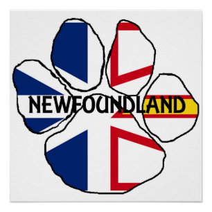 Neufundland_und_Labrador Flaggenname Pfote Poster