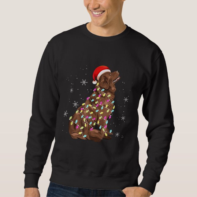 Neufundland - Weihnachtslicht | Funny Dog Lover Sweatshirt (Vorderseite)