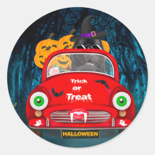 Neufundländer fährt Auto Gruseliges Halloween Runder Aufkleber