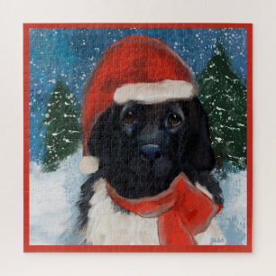 NEUFUNDLÄNDER HUND
