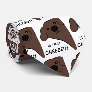 Neufundländer Hund Braun Ist das Käse Krawatte
