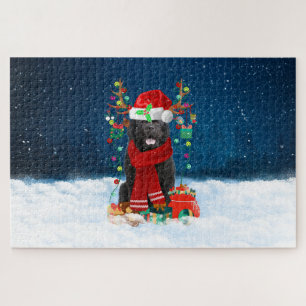 Neufundländer-Hund mit Weihnachtsgeschenken