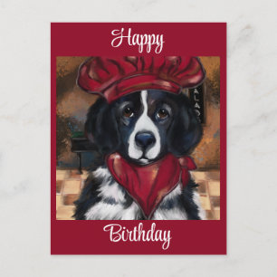 Neufundländer Hund Postkarte