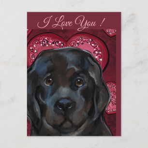 Neufundländer Hund Postkarte