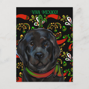 Neufundländer Hund   Postkarte