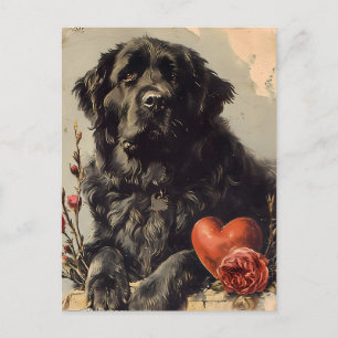 Neufundländer-Hund Valentinstag im Vintage-Stil Postkarte
