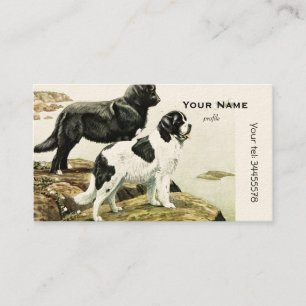 Neufundländer Hunde Visitenkarte