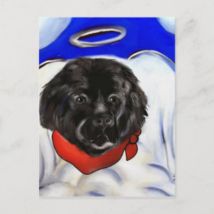 Neufundländer Postkarte