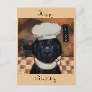 Neufundländer    postkarte