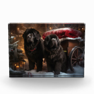 Neufundländer Schneeschlitten Weihnachtsdekoration Fotoblock