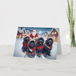 Neufundländer und Weihnachtskarte Feiertagskarte