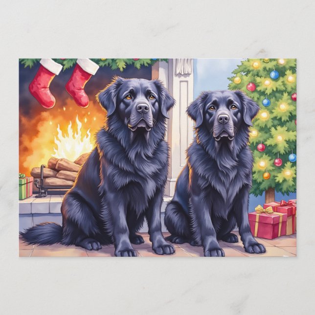 Neufundländer-Weihnachtskarte Feiertagskarte (Vorderseite)