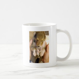 Neugeborener Collie-Welpe Kaffeetasse