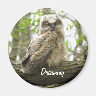 Neugeborener Großer Horned Owl-Magnet Magnet
