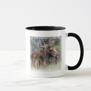 Neugeborenes Elchkalb schmiegt sich an seine Mutte Tasse