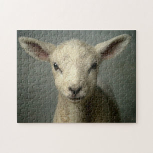 Neugeborenes Lamm